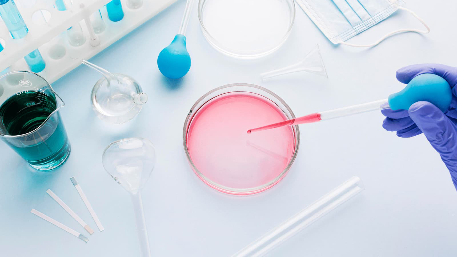 Kutilayotgan natijalar